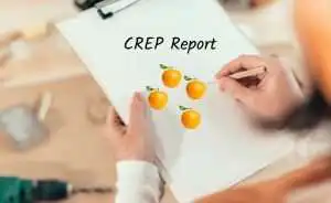 Crep report car seat safety