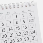 Maxi Cosi Mico Capsule Hire Maxi cosi mico capsule booking calendar