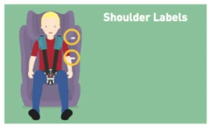 Shoulder height markers